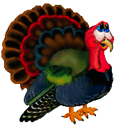 a thanksgiving turkey